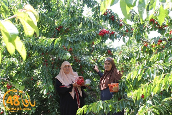 re7la bayere3jqw (24).JPG